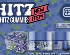 Hitz Blue Raspberry THC Gummies premium infused edible candy
